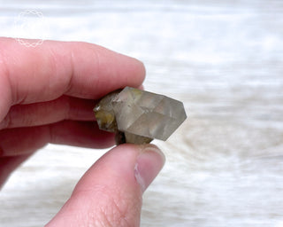 Tiger Blue Tara Quartz #3