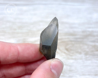 Tiger Blue Tara Quartz #8