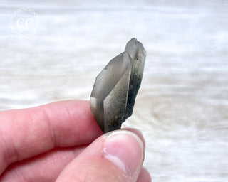 Tiger Blue Tara Quartz #8