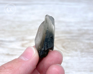 Tiger Blue Tara Quartz #8
