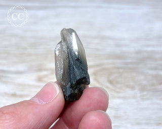 Tiger Blue Tara Quartz #8