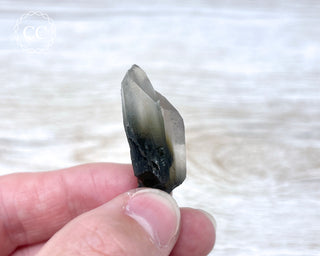 Tiger Blue Tara Quartz #8
