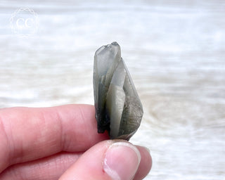 Tiger Blue Tara Quartz #8