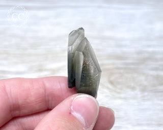Tiger Blue Tara Quartz #8