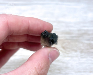 Tiger Blue Tara Quartz #8