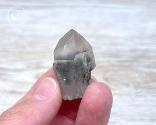 Tiger Blue Tara Quartz #9