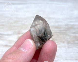 Tiger Blue Tara Quartz #9