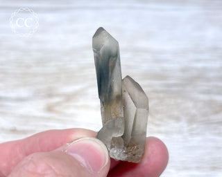 Tiger Blue Tara Quartz #2