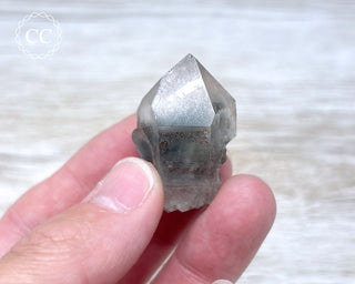 Tiger Blue Tara Quartz #9