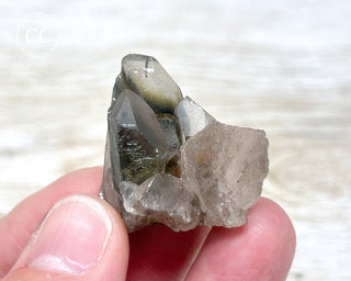 Tiger Blue Tara Quartz #11