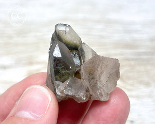 Tiger Blue Tara Quartz #11