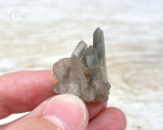 Tiger Blue Tara Quartz #11