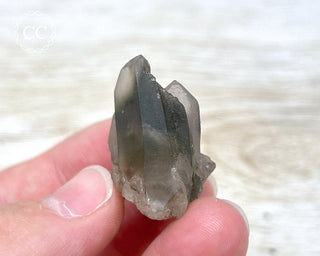 Tiger Blue Tara Quartz #11