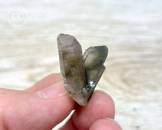 Tiger Blue Tara Quartz #12