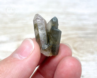 Tiger Blue Tara Quartz #12
