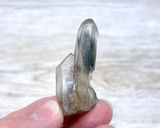 Tiger Blue Tara Quartz #2