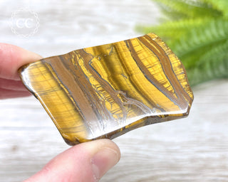 African Tiger Iron Slice #3