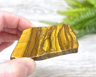 African Tiger Iron Slice #3