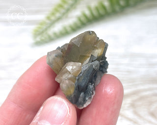 Tiger Blue Tara Quartz #12