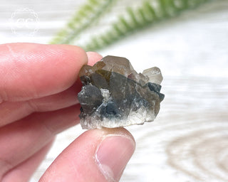 Tiger Blue Tara Quartz #12