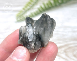 Tiger Blue Tara Quartz #13