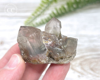 Tiger Blue Tara Quartz #15