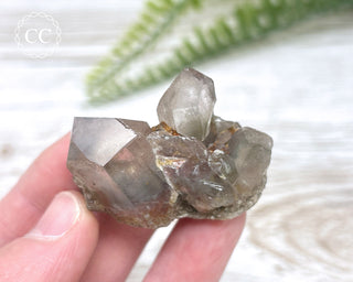 Tiger Blue Tara Quartz #15