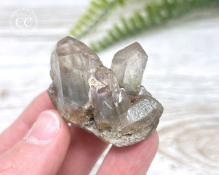 Tiger Blue Tara Quartz #15