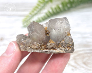 Tiger Blue Tara Quartz #15