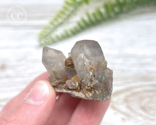 Tiger Blue Tara Quartz #15