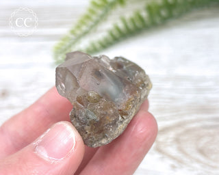 Tiger Blue Tara Quartz #15