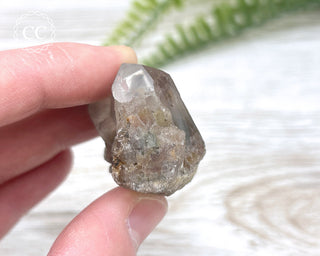 Tiger Blue Tara Quartz #15