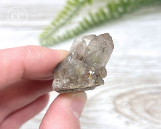 Tiger Blue Tara Quartz #15