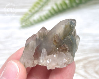 Tiger Blue Tara Quartz #17