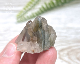 Tiger Blue Tara Quartz #17