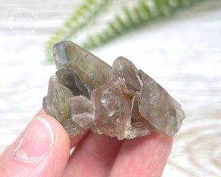 Tiger Blue Tara Quartz #17