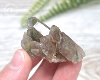 Tiger Blue Tara Quartz #17