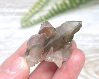 Tiger Blue Tara Quartz #17