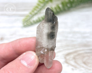 Tiger Blue Tara Quartz #18