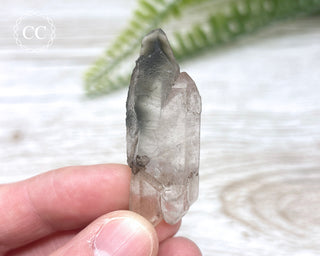 Tiger Blue Tara Quartz #18