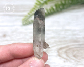 Tiger Blue Tara Quartz #18