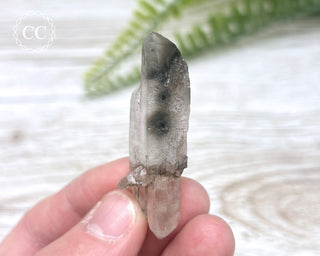 Tiger Blue Tara Quartz #18