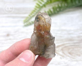 Tiger Blue Tara Quartz #3