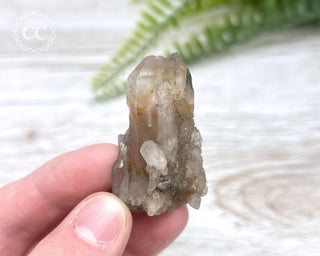 Tiger Blue Tara Quartz #3