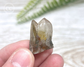 Tiger Blue Tara Quartz #9