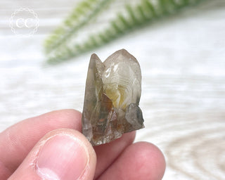 Tiger Blue Tara Quartz #9