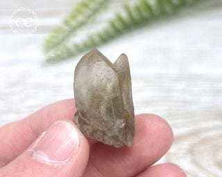 Tiger Blue Tara Quartz #9