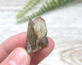 Tiger Blue Tara Quartz #9