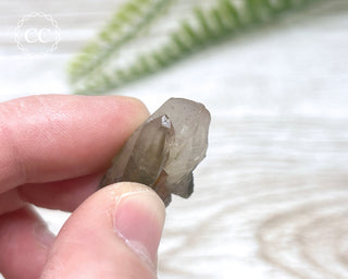 Tiger Blue Tara Quartz #9