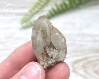 Tiger Blue Tara Quartz #11